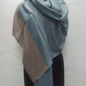 Sky Blue Wool Natural Border Pashmina Shawl for Women