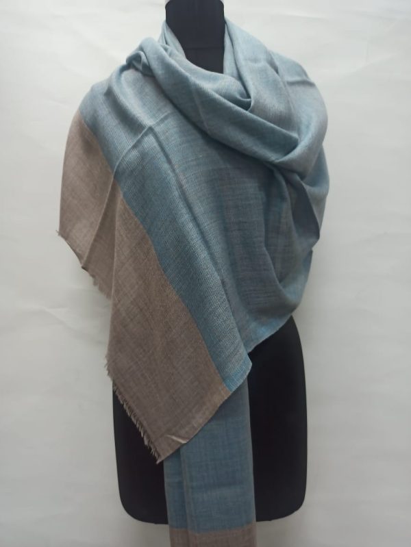 Sky Blue Wool Natural Border Pashmina Shawl for Women