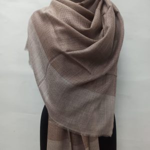 Elegant Brown Wool Natural Border Pashmina Shawls for Women