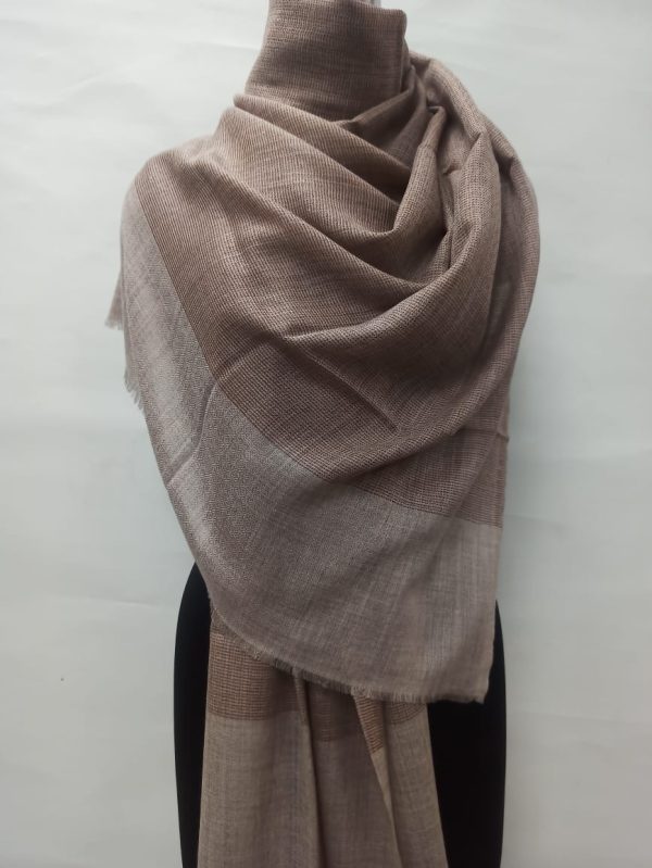 Elegant Brown Wool Silk Pashmina Shawls, Natural Border, Wholesale & Private Label