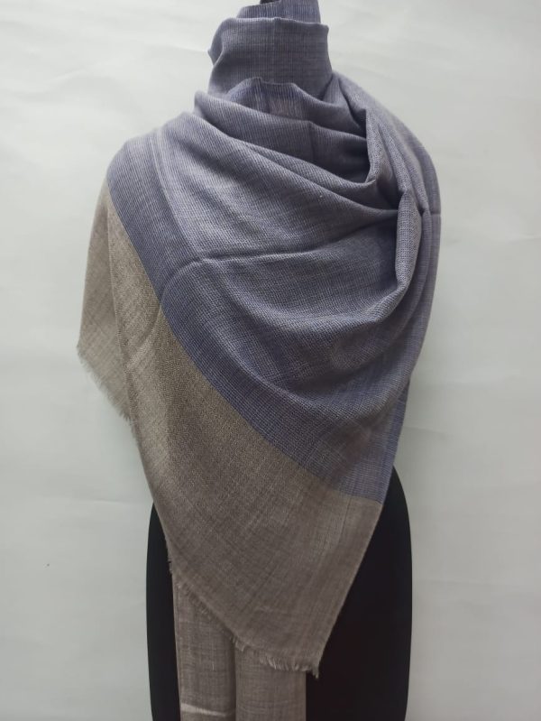 Grey & Beige Wool Natural Border Pashmina Shawls for Women