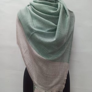 Mint Green & Beige Wool Natural Border Pashmina Shawls for Women