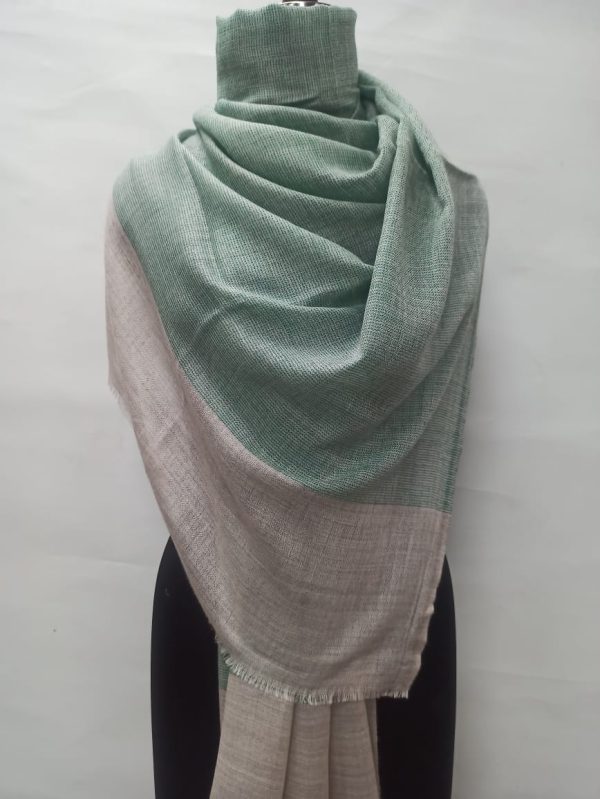 Mint Green & Beige Wool Natural Border Pashmina Shawls: B2B Wholesale from Savita Shawls