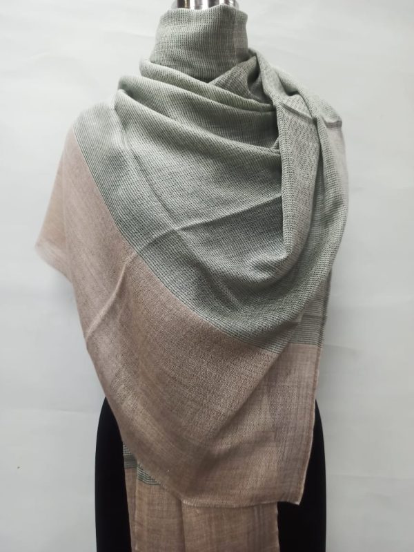 Coffee Brown Wool Natural Border Pashmina Shawl for Women